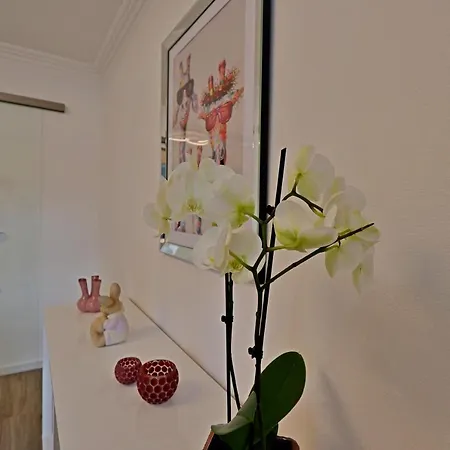 Apartment Alte Massschneiderei